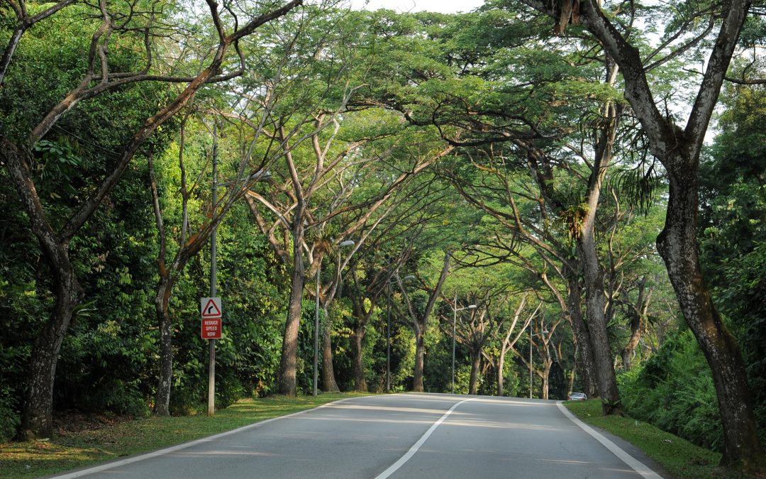 13 Interesting Roads in SG and Their Backstories